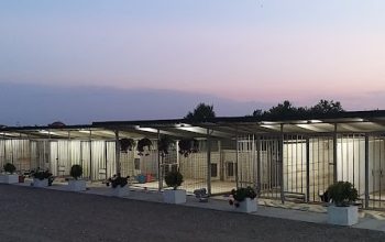 Royal Kennel