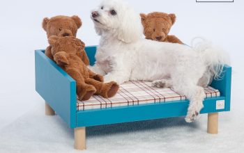 Nika pet furniture moderni krevetići za ljubimce
