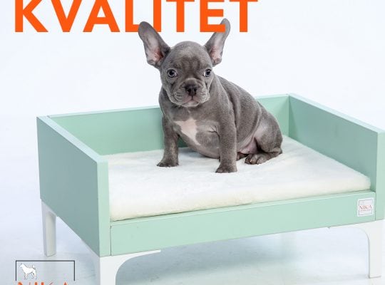 Nika pet furniture moderni krevetići za ljubimce