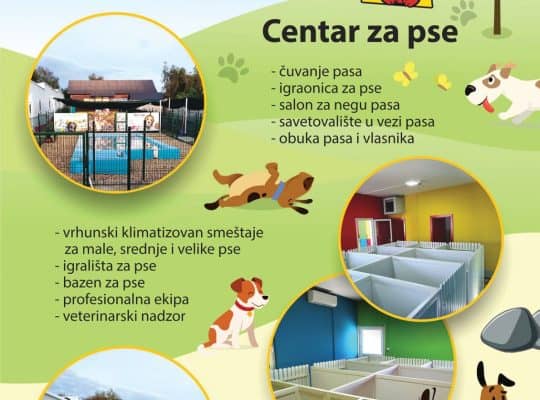 Čuvanje pasa Novi Sad
