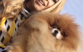 Pomeranski špic,Pomeranac,Pomeranian,Boo štenci