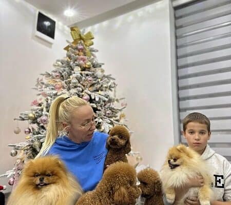 Odgaivacnica ekskluzivnih pomeranaca i pudli