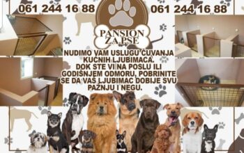 Pansion za pse – Subotica