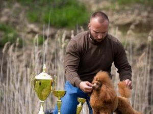 Crveni toy mužjak dostupan za parenje