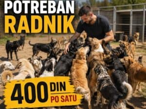 Potreban radnik – Požarevac